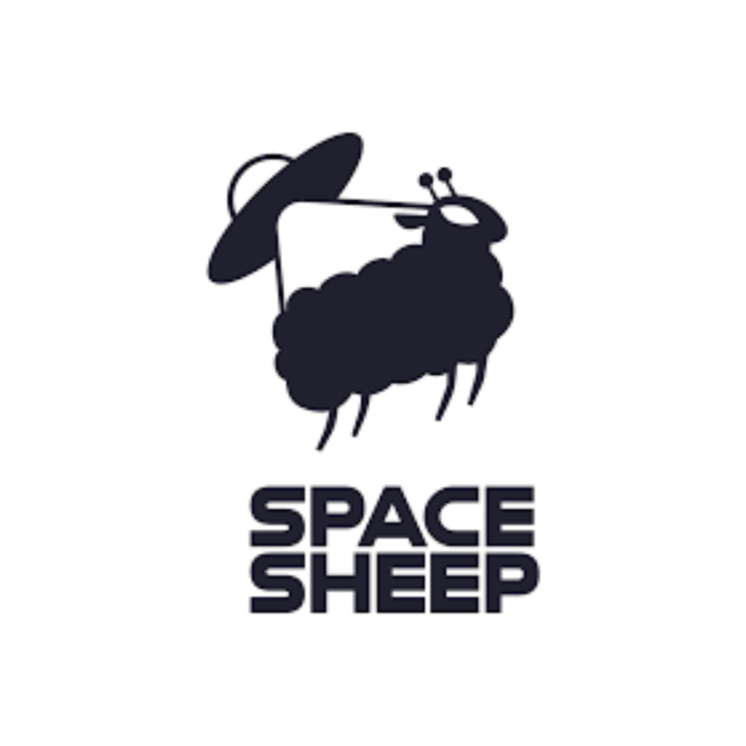 6. Spacesheep